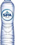 Spa reine blauw pet 0.5ltr.