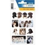 Decor stickers honden